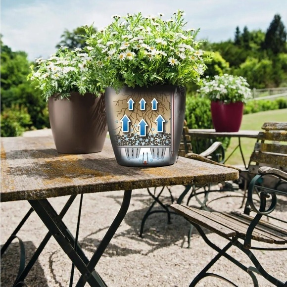 🪴 LECHUZA PON Planting Media Substrate Flowers Plants 12L Mineral Zeolite - Picture 2 of 7